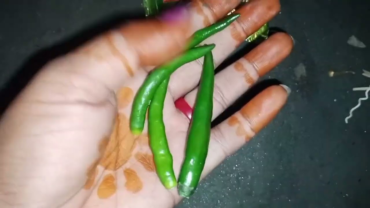 এটা একটু অন্যরকম লুডুস বানানো,#new #poli #cute #travel #travel #sort #funny #food #comedy
