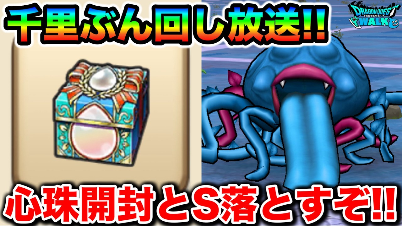 【ドラクエウォーク】心珠全開封もする！本日もくもの大王千里！！エビルプラントS出すぞおお！
