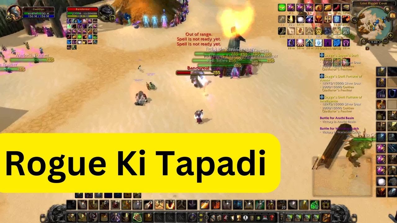 Human Paladin vs Rogue | Unlimited WoW 255 Gameplay (Hindi)