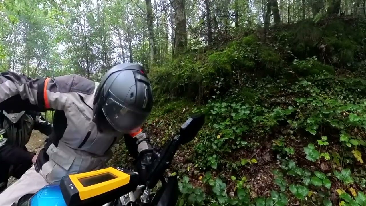 Rock and Trail 2024