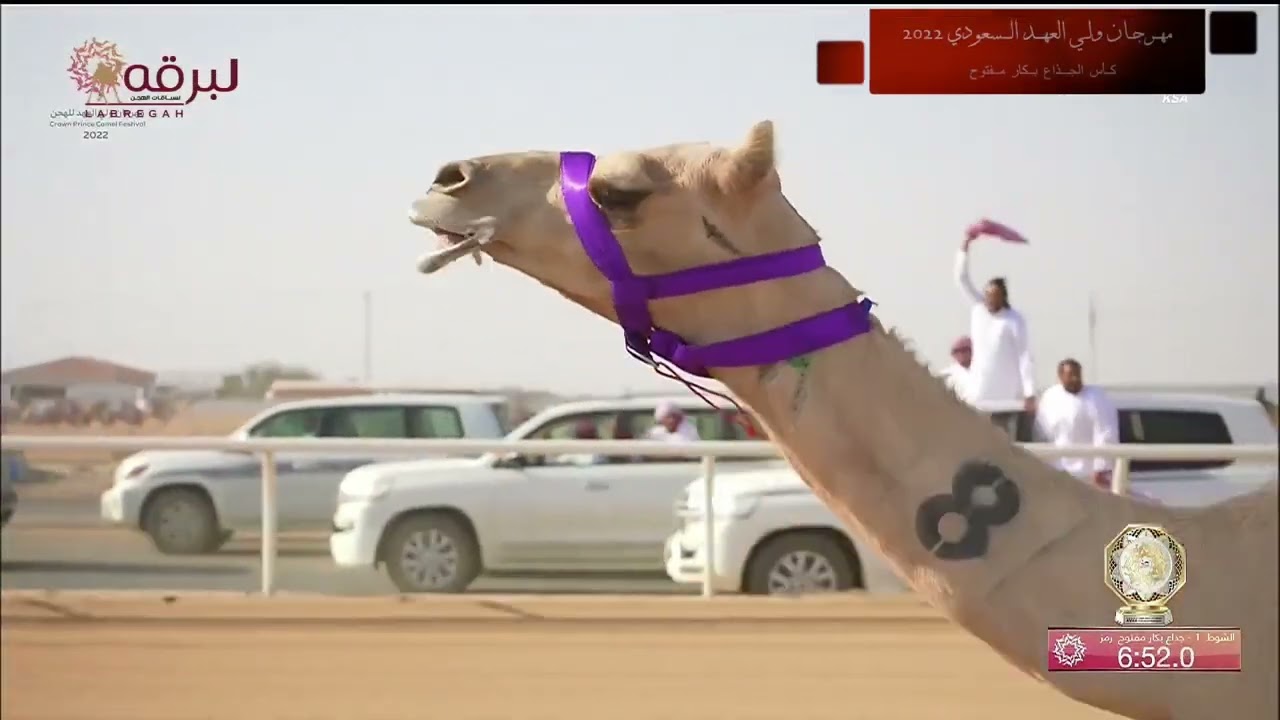 ملخص أشواط الرموز المفتوحة مهرجان ولي عهد المملكة العربية السعودية 2022