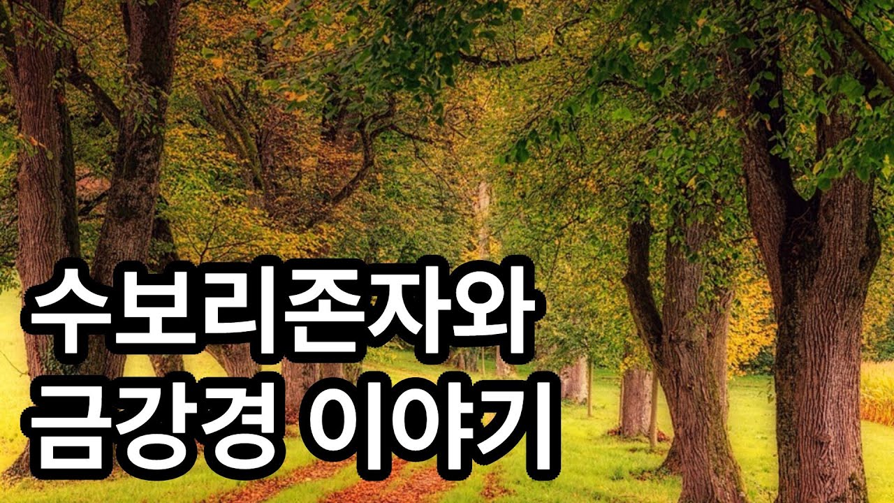 수보리존자와 금강경이야기