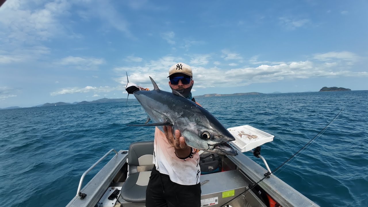 FISHING AIRLIE BEACH ISLANDS🏖🏝 (PART ONE)