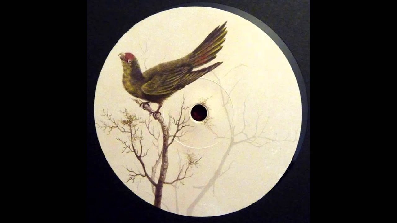 Roger Gerressen - Put That Record On