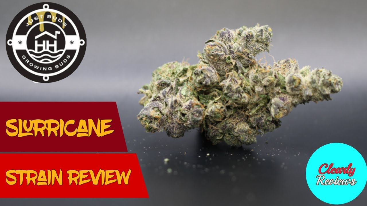 SLURRICANE By @harborhousecollective STRAIN REVIEE