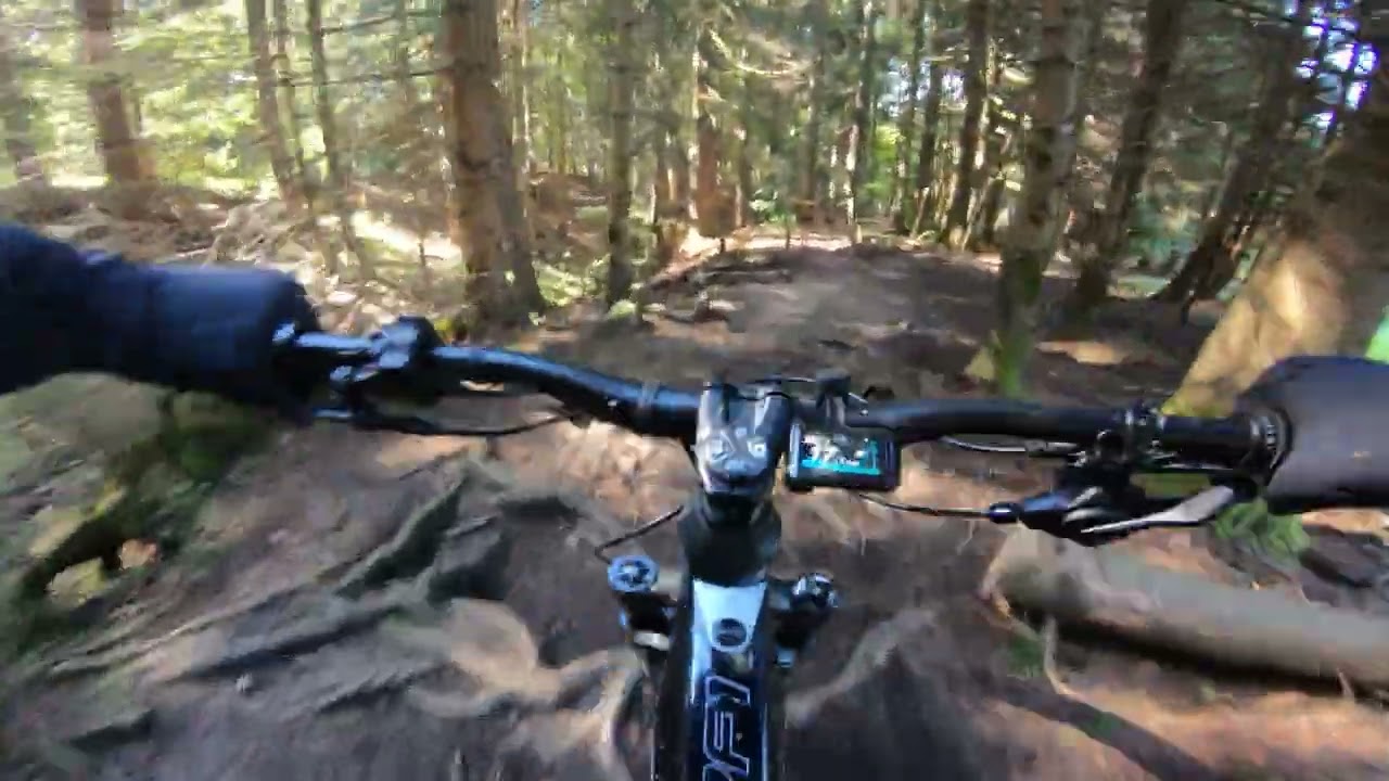 Ein weiterer Trail im Allgäu