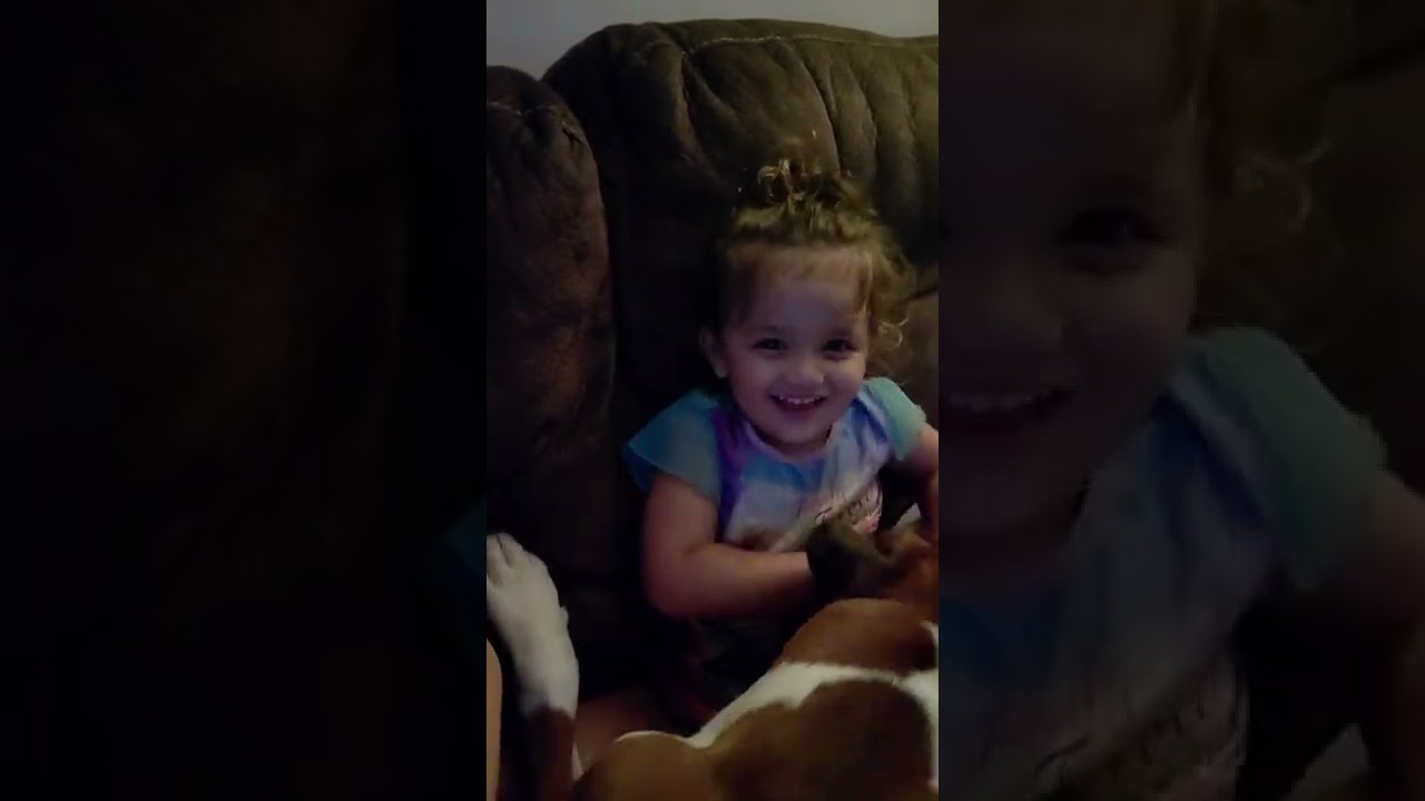 Boxer puppy can't stop kissing baby who thinks 