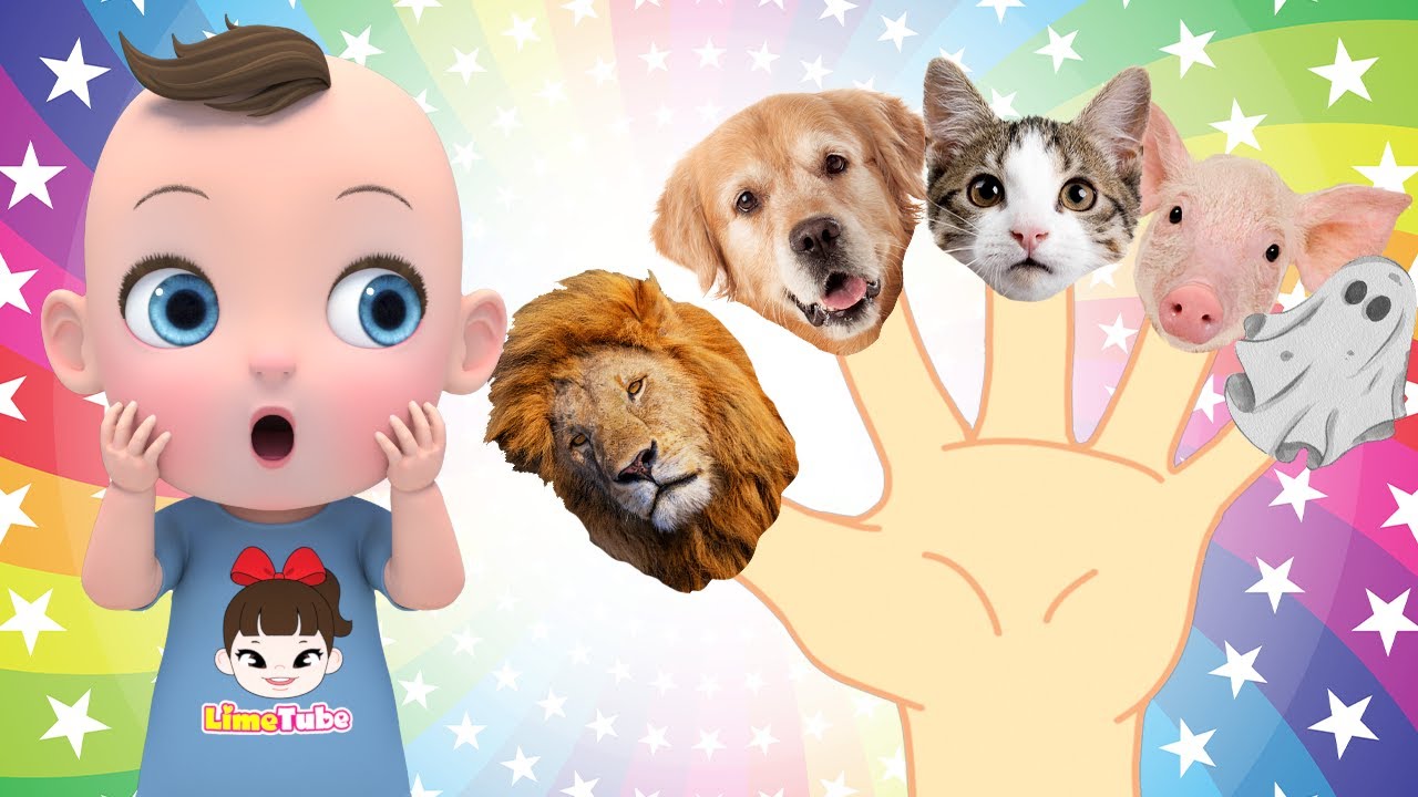 Finger Family & Wheels On The Bus música colorida Learn Sing A Song! Infantil Nursery Rhymes