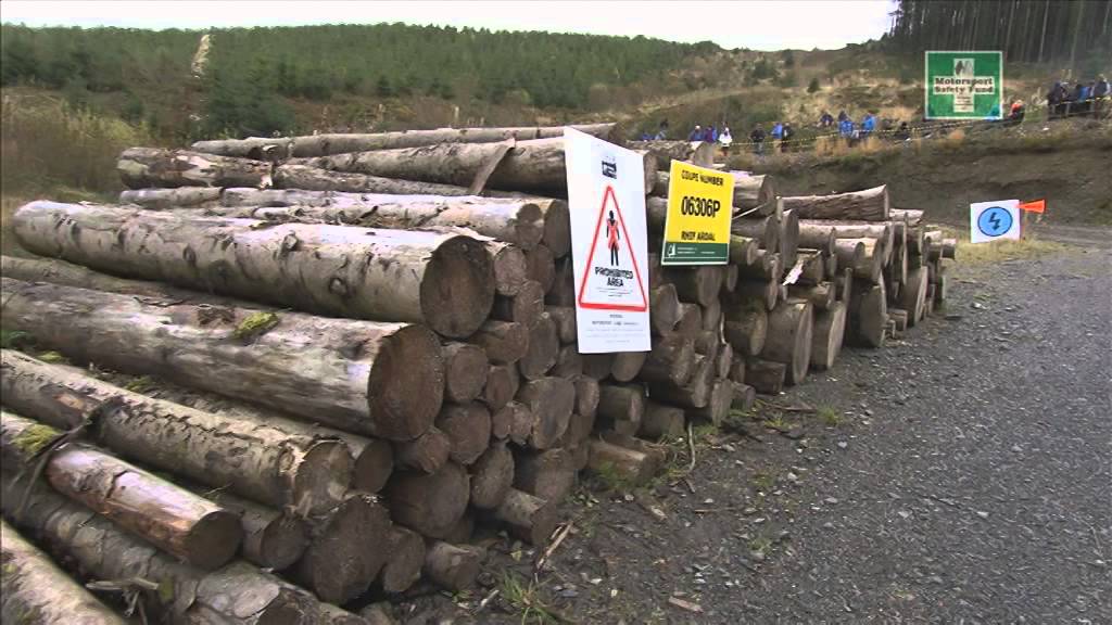 Rally Safety for Marshals