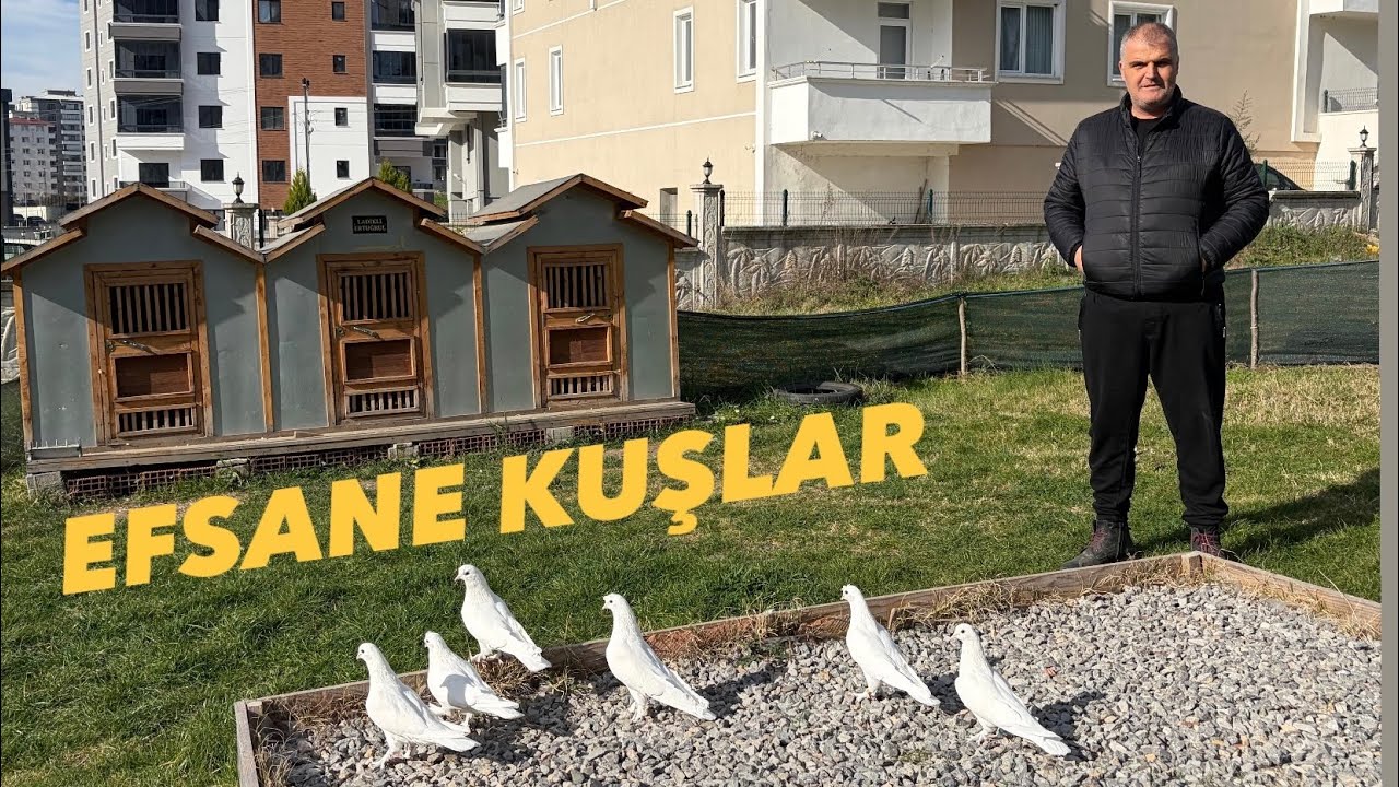 LADİKLİ ERTUĞRUL ABİNİN SÜPER KUŞLARI 🕊️