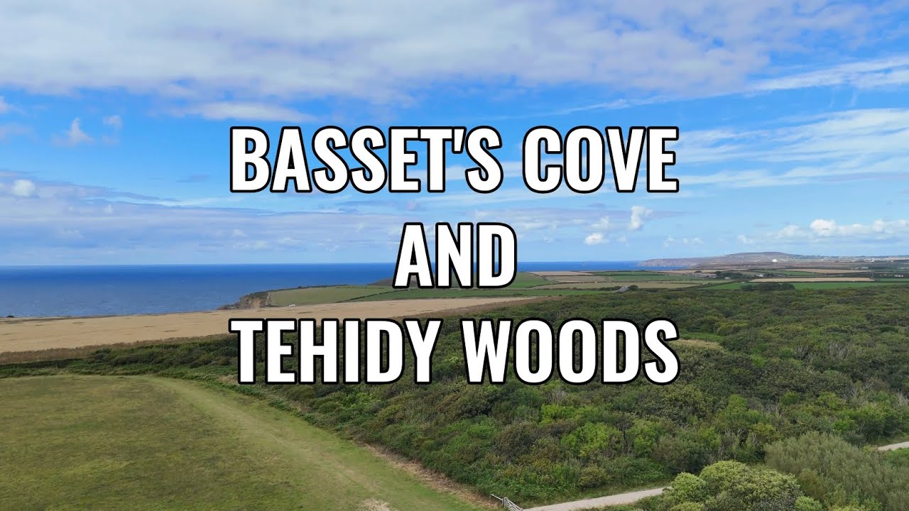 Basset's Cove and Tehidy Woods