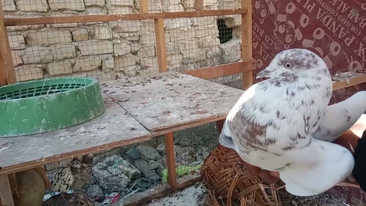 ٢٤ نوفمبر ٢٠٢٥