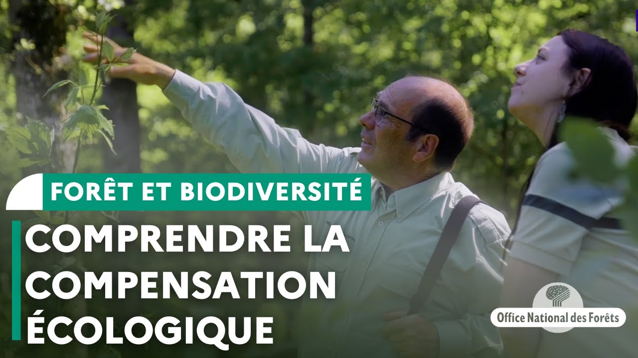 Mieux comprendre la compensation écologique