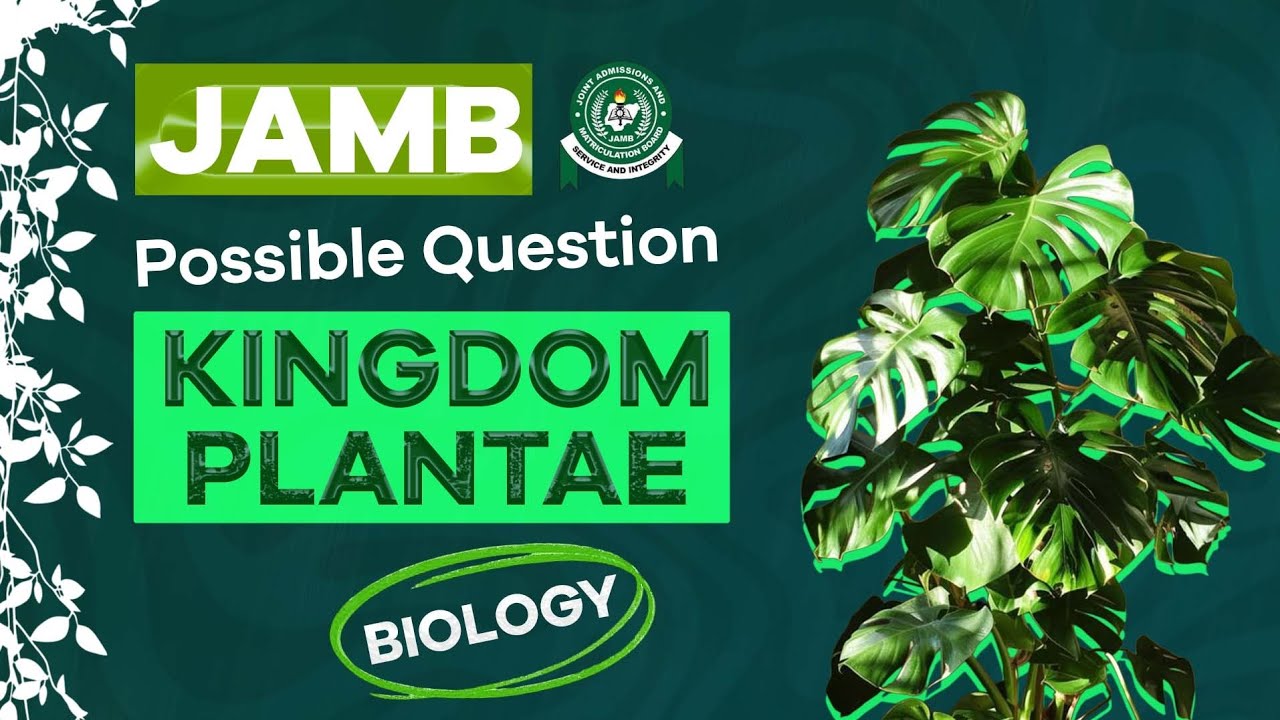POSSIBLE UTME QUESTION SERIES(KINGDOM PLANTAE)