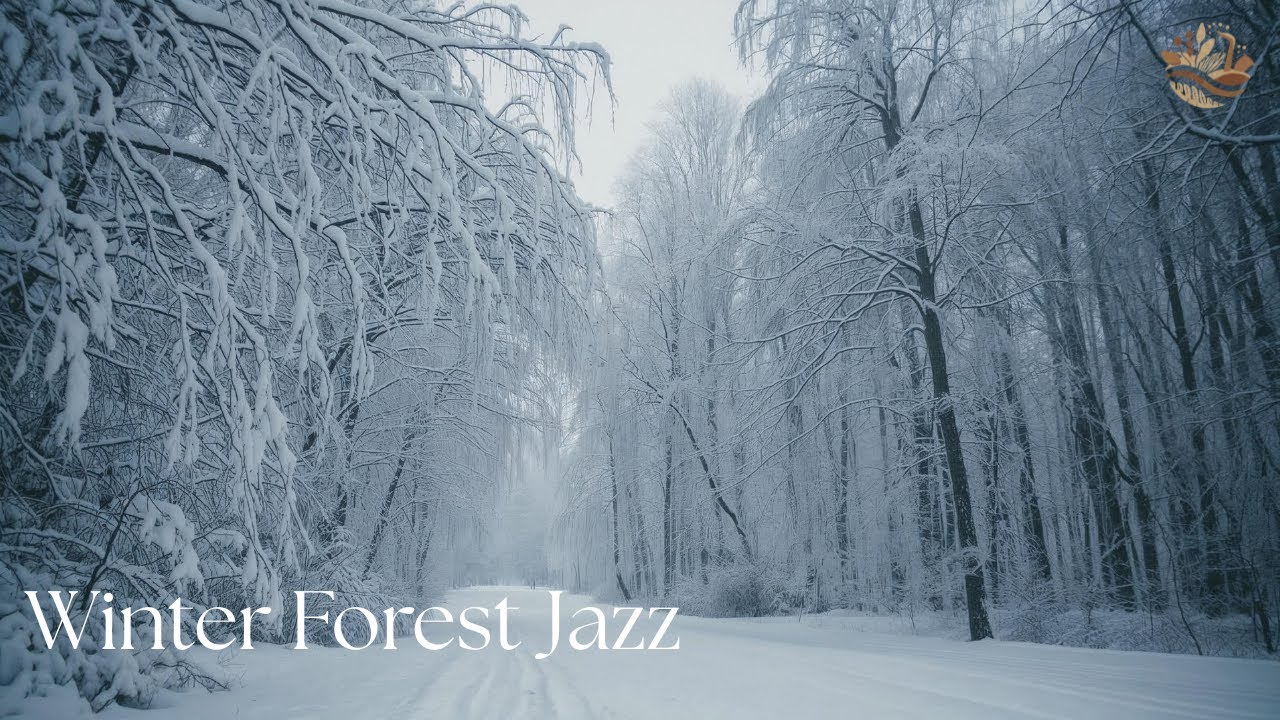 Serene Winter Forest ❄️ Lofi Jazz for Focus, Relaxation & Cozy Background Ambience (4K)