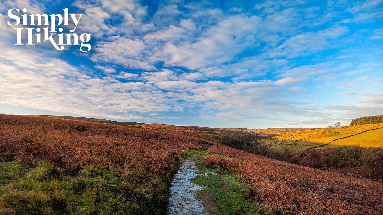 Hidden Gem: Bronte Waterfall Virtual Hike | Serene Nature Escape