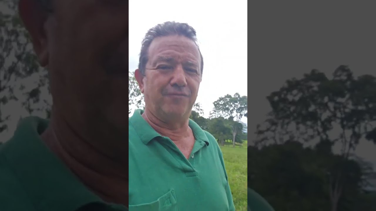 fui fazenda Walter Marques  está ao vivo!