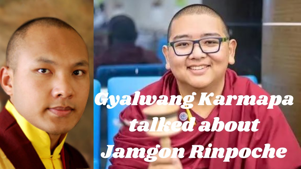The Gyalwang Karmapa addresses the situation concerning the 4th Jamgon Kongtrul Rinpoche