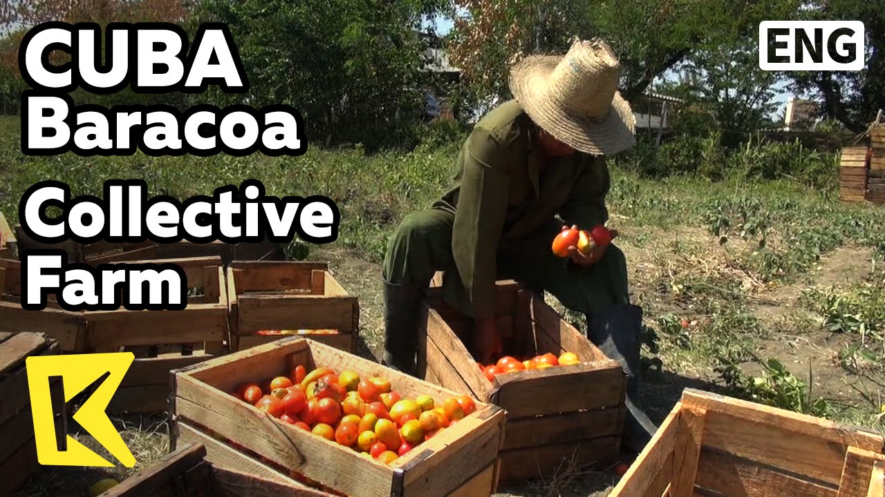 【K】Cuba Travel-Baracoa[쿠바 여행-바라코아]사회주의 협동농장과 농가 풍경/Collective Farm/Farmer/Socialism