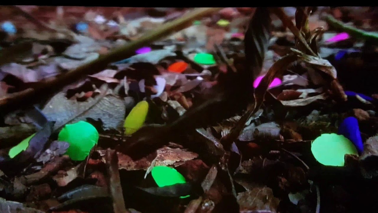 Quarta-Feira de Cinzas / Epilogue 2016 at the Tate Modern