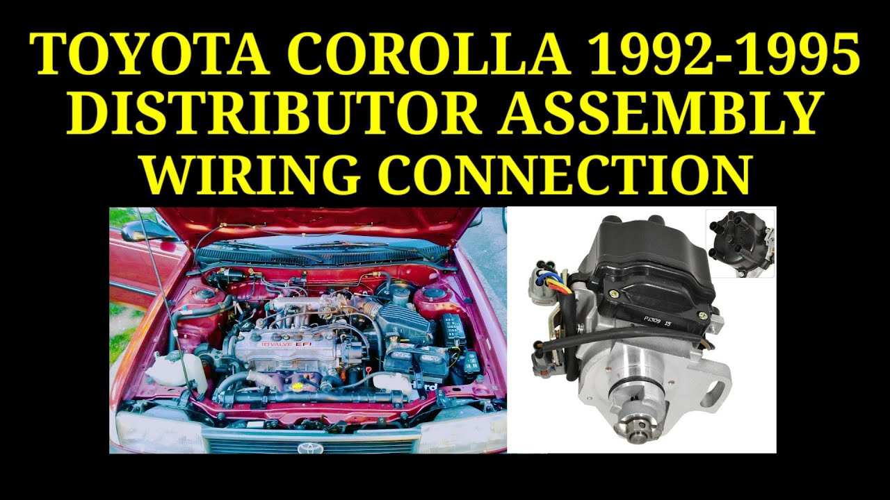 Toyota Corolla Distributor Assembly Wiring Connection 1992-1995 1.6 1.8