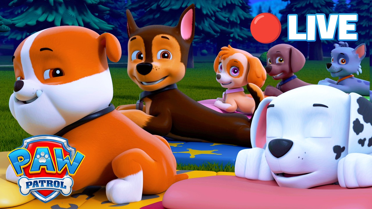 🔴 LIVE | Bedtime Cartoons With the PAW Patrol | PAW Patrol