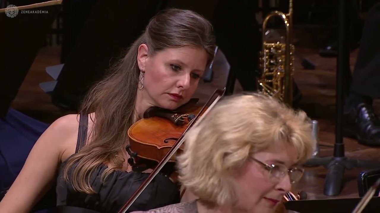 Thomas Ludwig | Symphony No. 3 Movement lV.  Finale  Danubia Symphony Orchestra Live