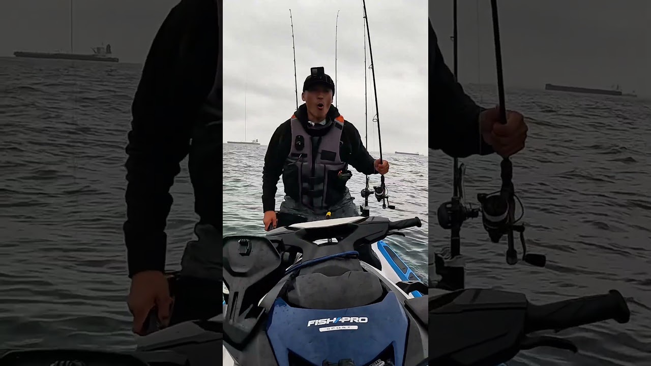 Biggest Sand Bass I Have Ever Caught!