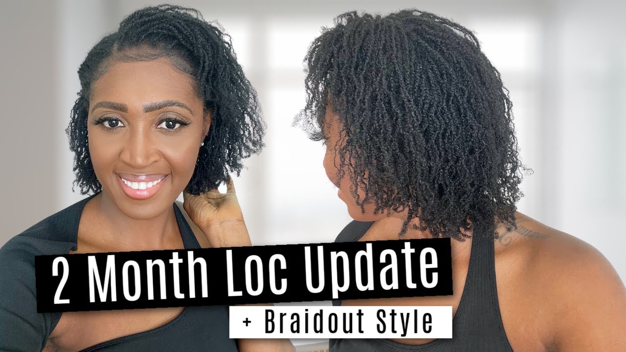Micro Locs 2 MONTH UPDATE | Microlocs Journey