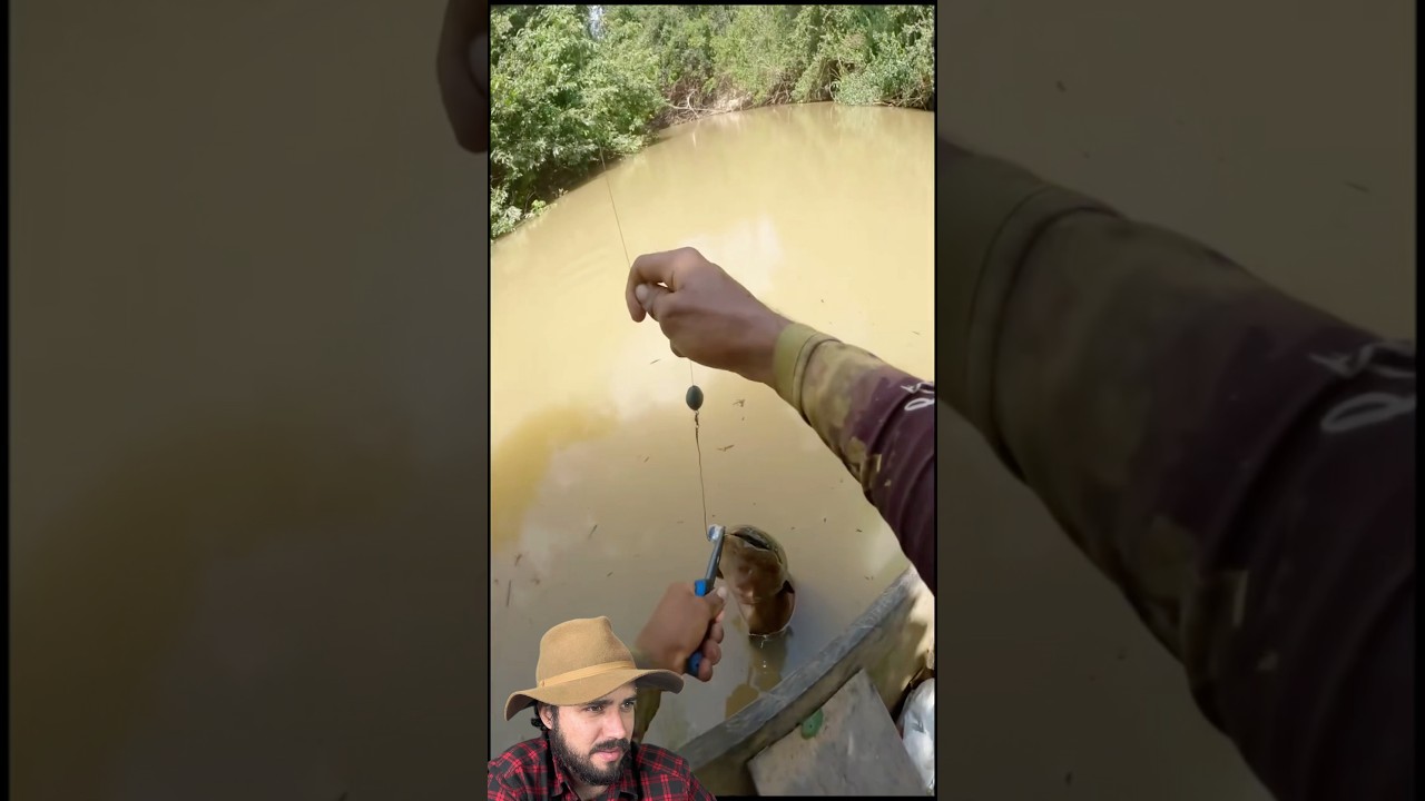 Choque de Peixe el&eacute;trico