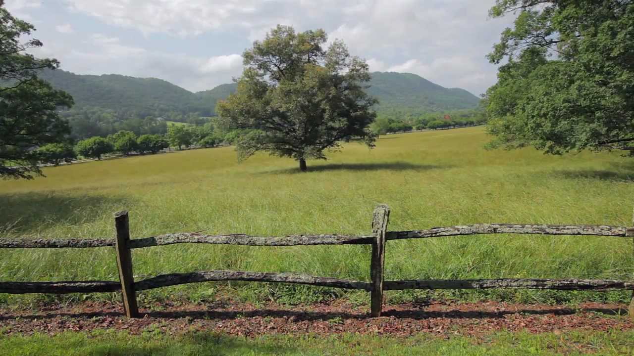 Live the Life You Choose: The Cane Creek Lifestyle in Fletcher, NC