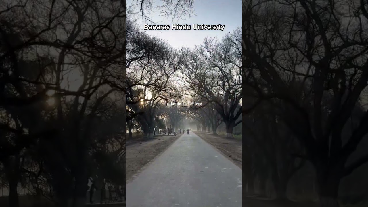 Banaras Hindu University status video 🥀❤️|| Cuet motivation 💫🔥|| #thedreamcollege #bhuworld #shorts