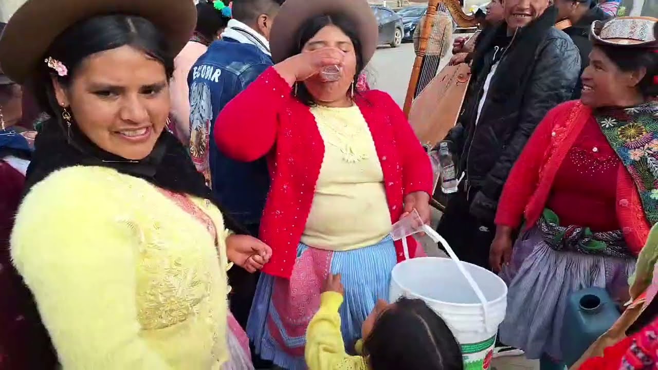 cómo toman las tías la chela con arpa en violín 2025