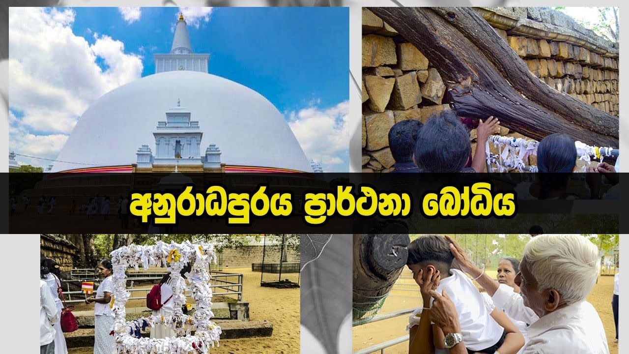 Prarthana Bodhiya ප්‍රාර්ථනා ‌බෝධිය🙏🙏🙏🇱🇰#sinhala