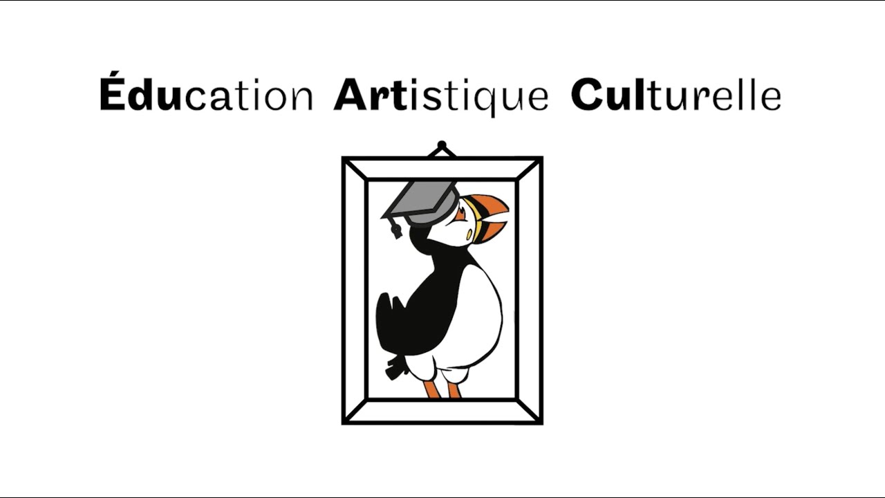 Suivre une formation &agrave; distance en &Eacute;ducation Artistique et Culturelle