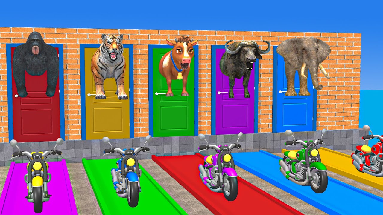 Long Slide Game With Cow Elephant Gorilla Hippopotamus Tiger - 3d Animal Game - Funny 3d Animals