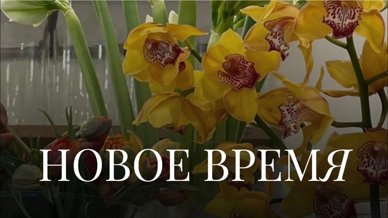 НОВОЕ ВРЕМЯ 