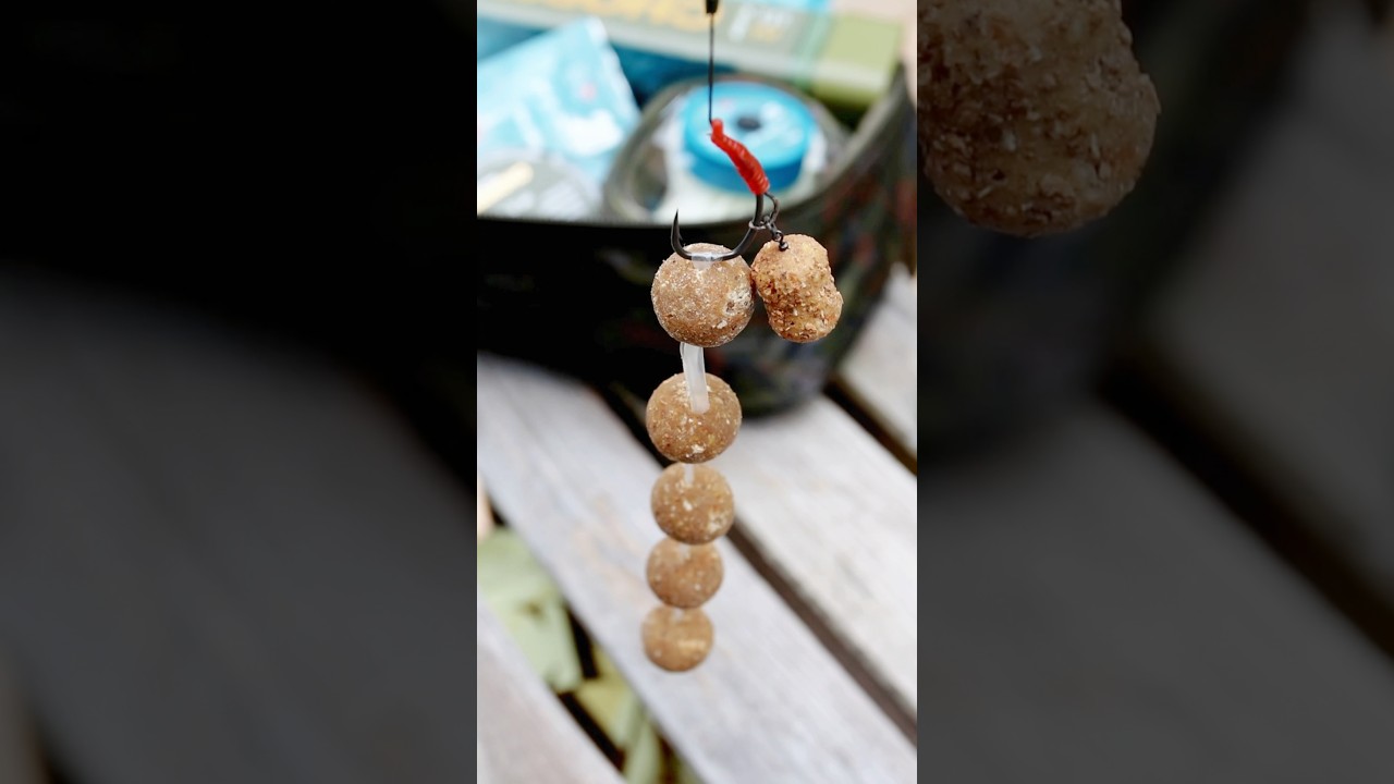 This Is a Classic Boilie Fishing 🎣 Tactic For Big Carp &mdash; The Stringer Rig! 🪝#fishing #carpfishing