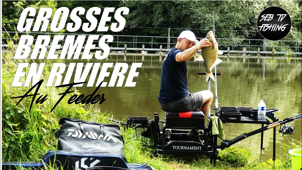 PÊCHE de GROSSES BREMES au FEEDER sur L'YONNE