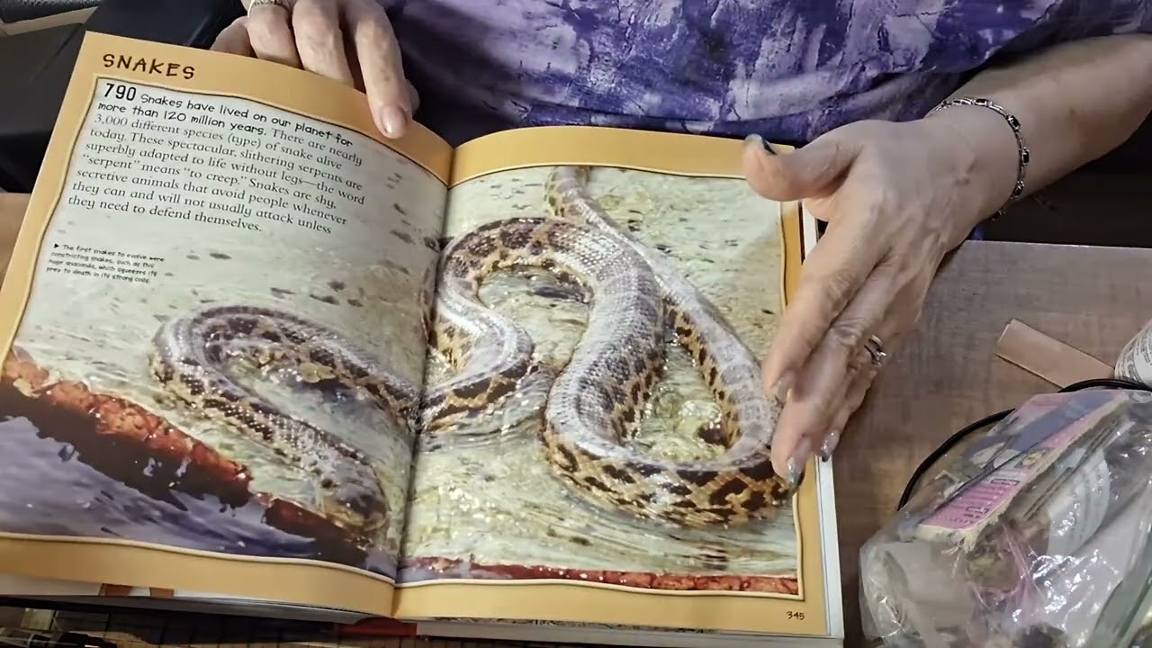 Lets do a Flip through Friday of 1000 + Animal Facts.