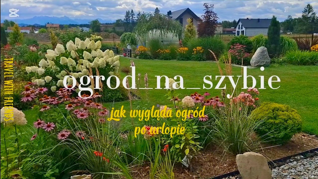 Ogród po urlopie🫢 oraz dlaczego nie uprawiam dali. 
