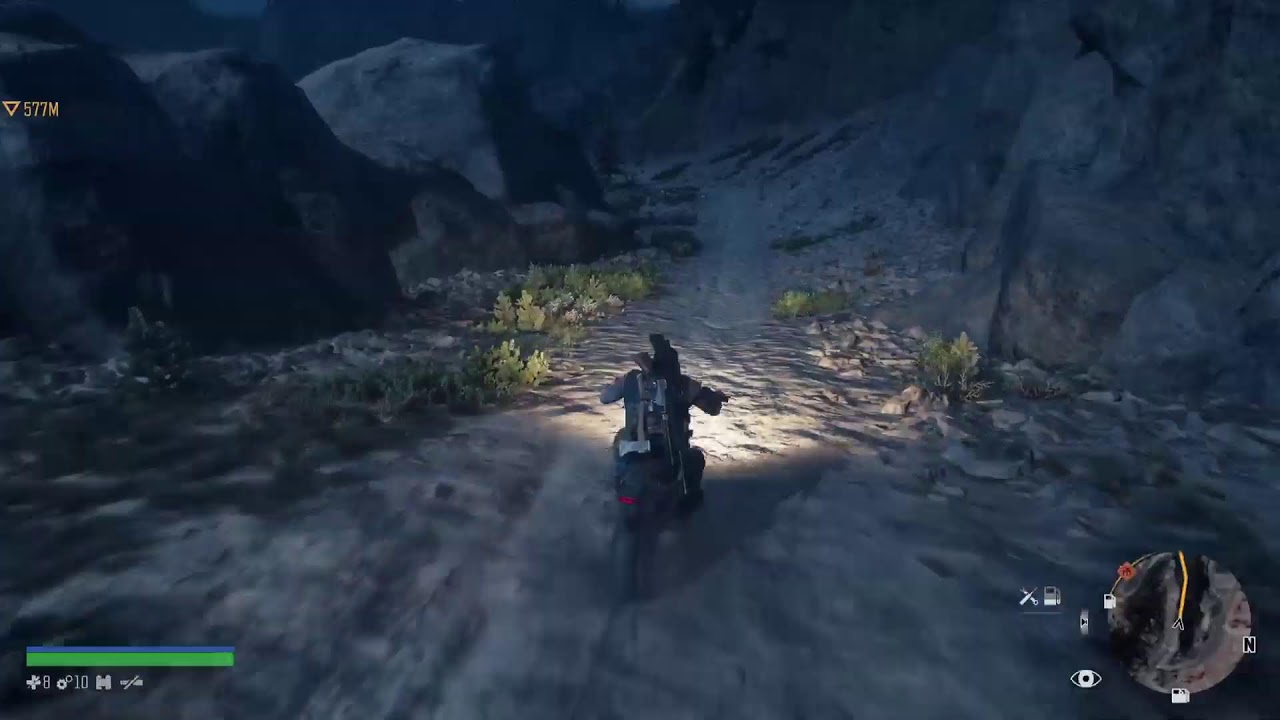 Days Gone
