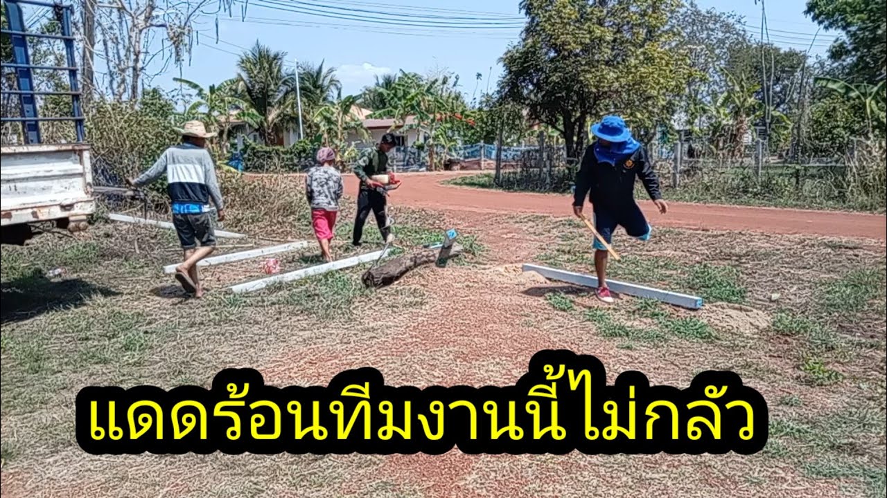 ทีมนี้ไม่กลัวแดดไม่กลัวของหนักเพราะปกติไปรับเหมาตัดยูคาไปขายทุกวันๆวันนี้หยุดมาช่วยตาแผน#จิตอาสา 