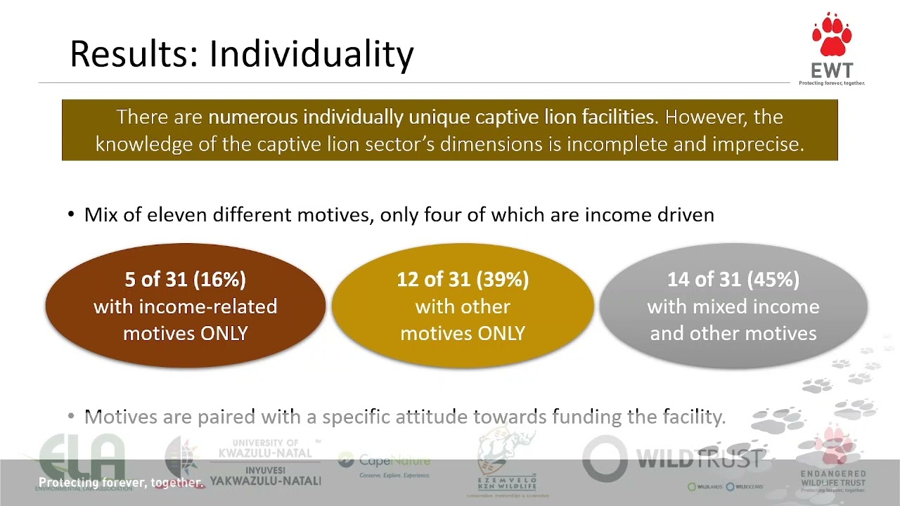 2021D3S11L8 - Christine Hiller - Understaing RSA's captive lion sector and the trade in captive lion