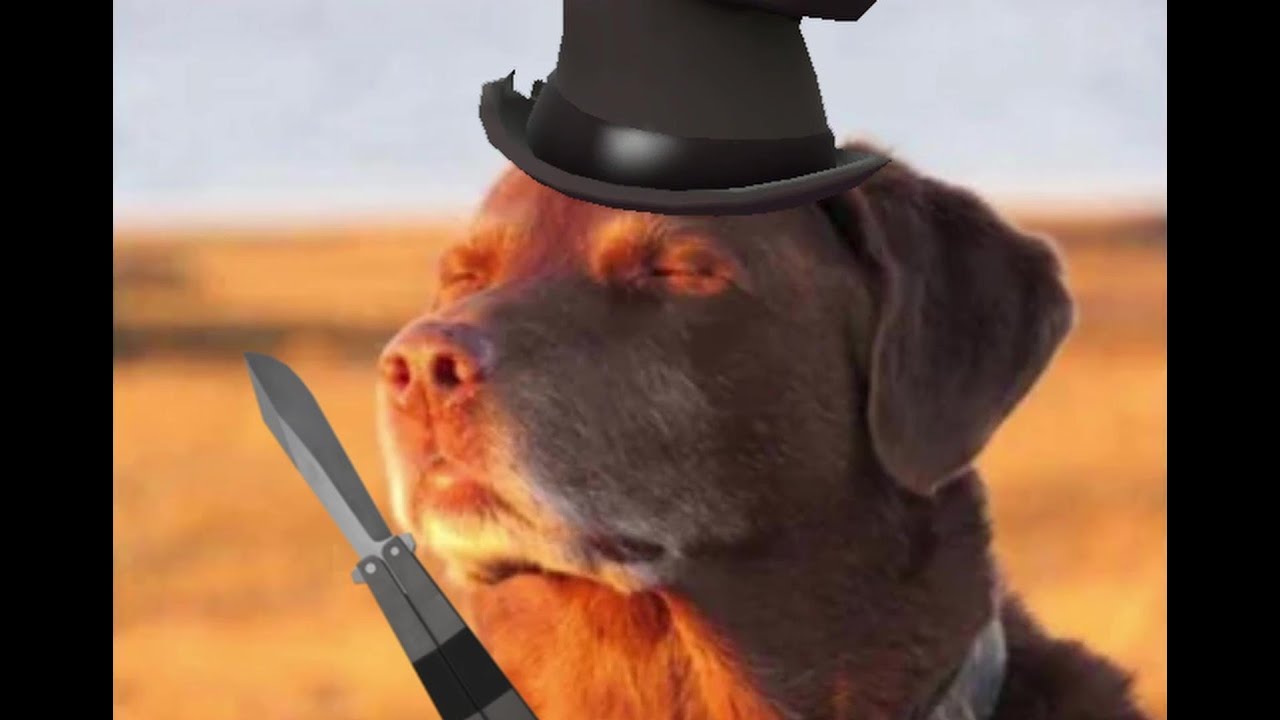 [TF2] Случайный комментарий о Патагонии