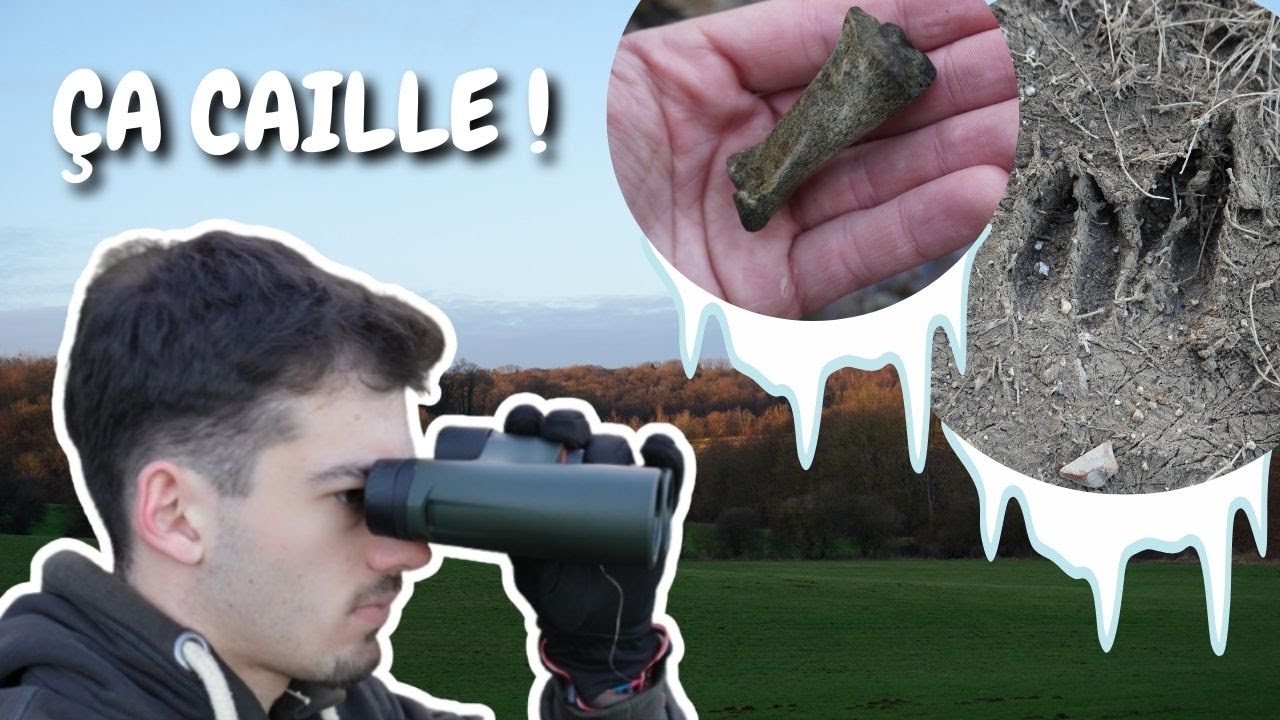 BIODIVERSITE en HIVER : ça donne quoi ? (Des belles surprises !) #pistage #faune