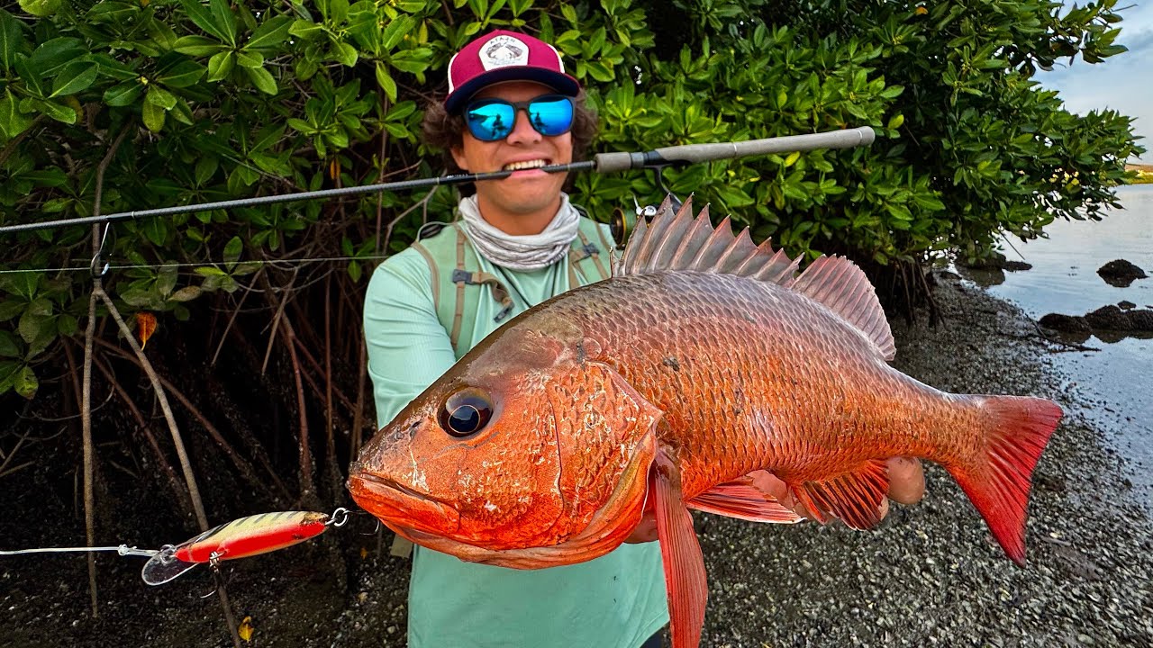 Pesca de Orilla en Manglar Repleto de Pargos! | Mazatlan, Sinaloa 