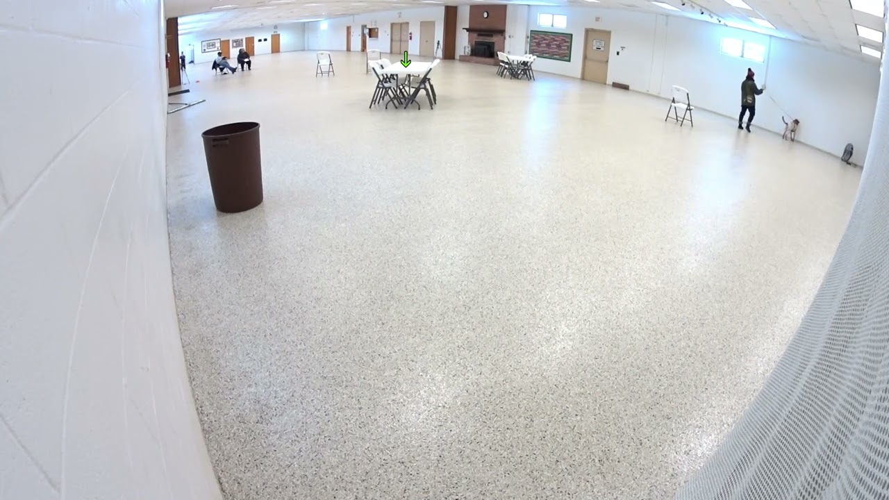 ELT-S - Hall (Search 1) - Denton, MD Videographer 