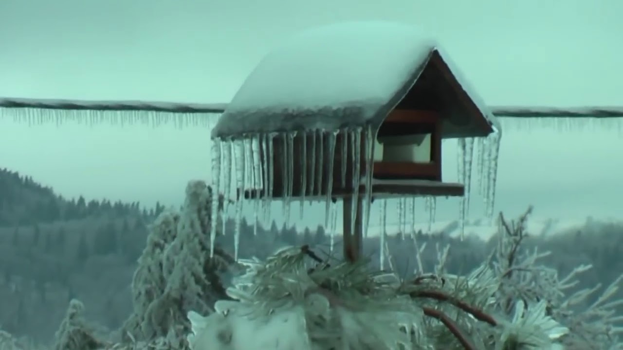 Žled   Okroglo  Kal nad Kanalom  31  1  2014