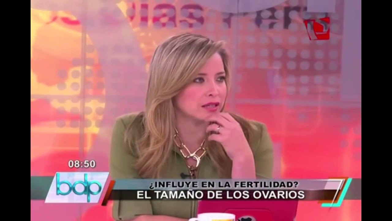 PROCREAR: El tamaño de los ovarios ¿Influye en la fertilidad?